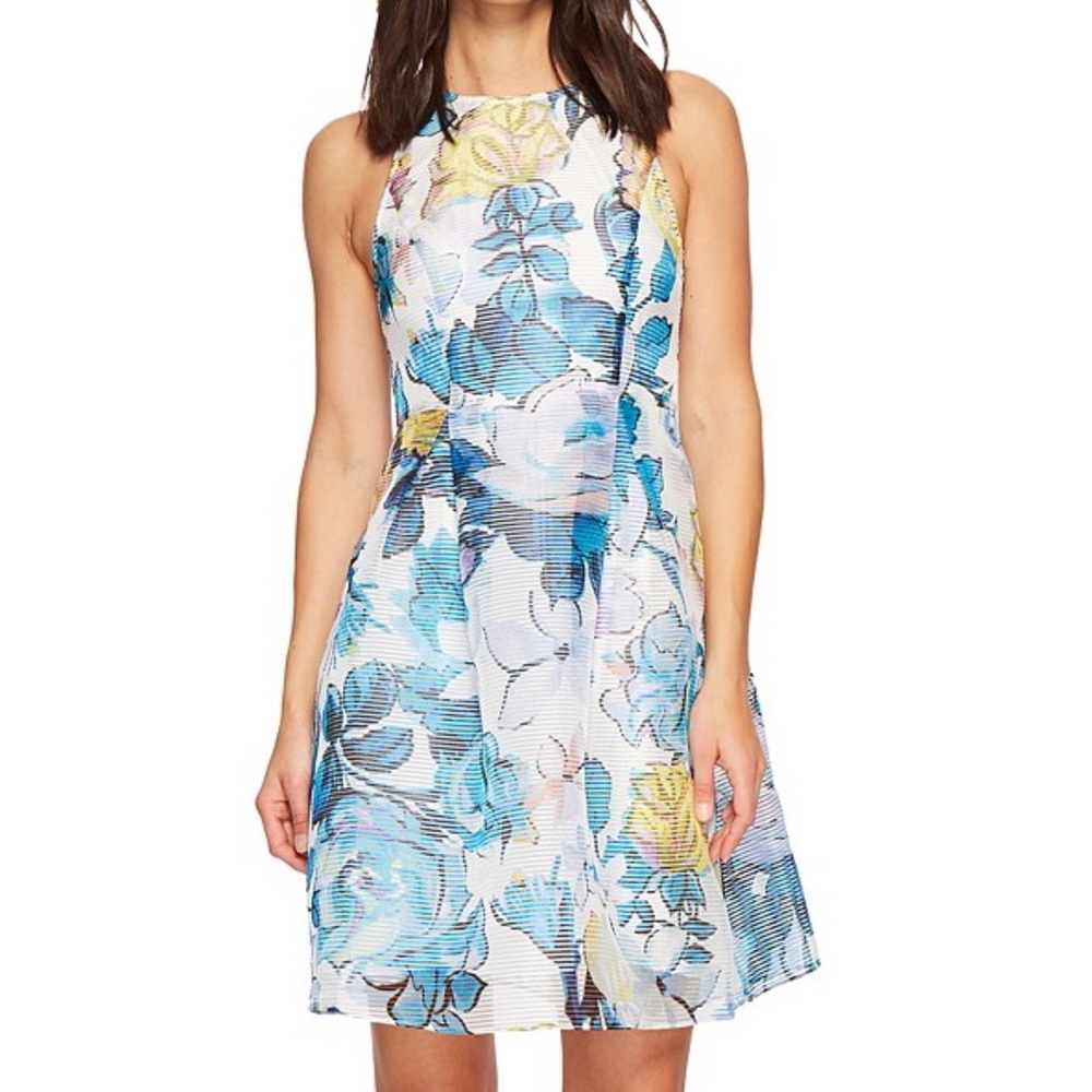 Ribbed Organza Print Dress